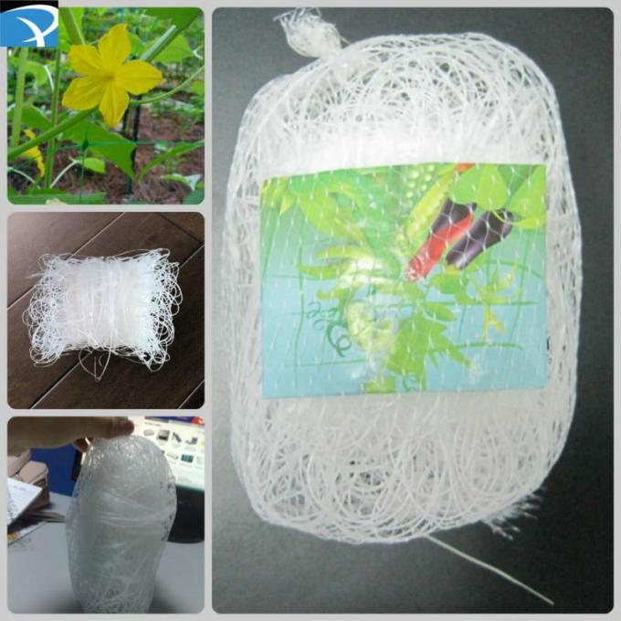 垂直によって使用されるプラスチック植物サポート網、PPの白いきゅうりの格子垣の網