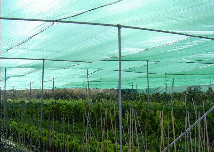 農業の農場/温室/園芸のための100%のHDPEの青い日曜日の陰の網