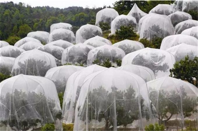 温室の使用プラスチック昆虫の網、バージンのHDPEの昆虫の証拠の網