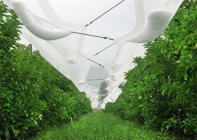 工場生産の果樹園の庭および森林で使用される紫外線安定させた反あられの網
