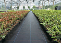 Black Heavy Duty Weed Control Fabric Conserve Soil Moisture Available 6x250 Feet