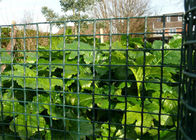 Decorative Plastic Lawns Plastic Garden Fence Support Plants And Protect Garden