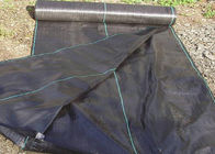 UV Treated Virgin PP Weed Control Fabric With Green Line And Square Line