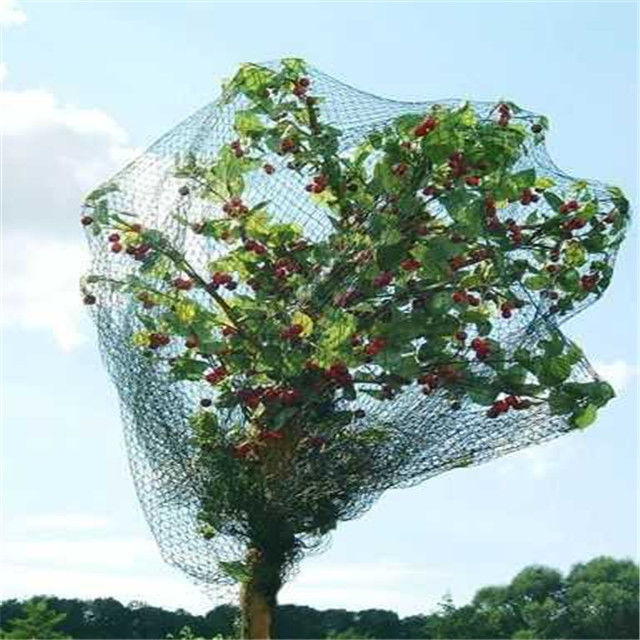 植物/果樹の覆いのための高密度ポリエチレンの鳥の網はタイプを編みました