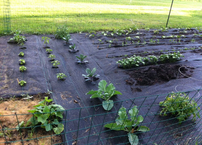 企業の農業の庭で使用されるリサイクルされたPPによって編まれる雑草防除の生地