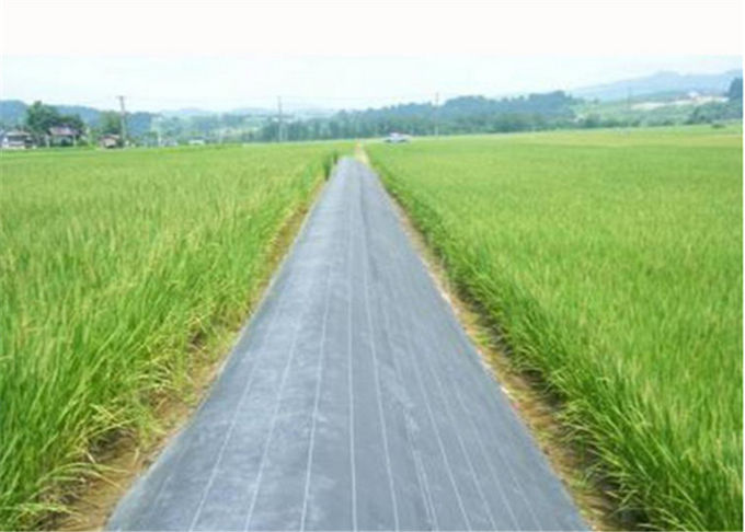 温室の最適水および空気透磁率の地上の雑草防除の生地
