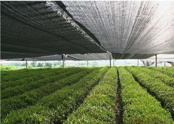 Raschelは植物のための陰の布を、紫外線庭の陰の網が付いている50gsm HDPE編みました